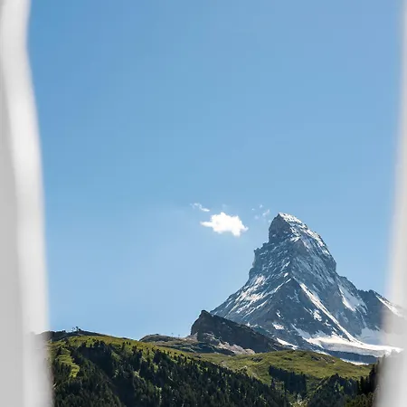 Ari * Zermatt